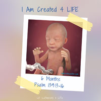 Lil’ Lutherans 4 Life – I Am Created 4 Life – 6 Months