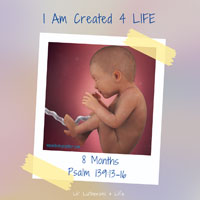 Lil’ Lutherans 4 Life – I Am Created 4 Life – 8 Months