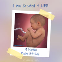 Lil’ Lutherans 4 Life – I Am Created 4 Life – 9 Months