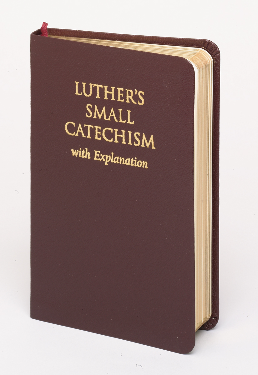 NIV Luther's Small Catechism with Explanation - Genuine Leather Edition ...