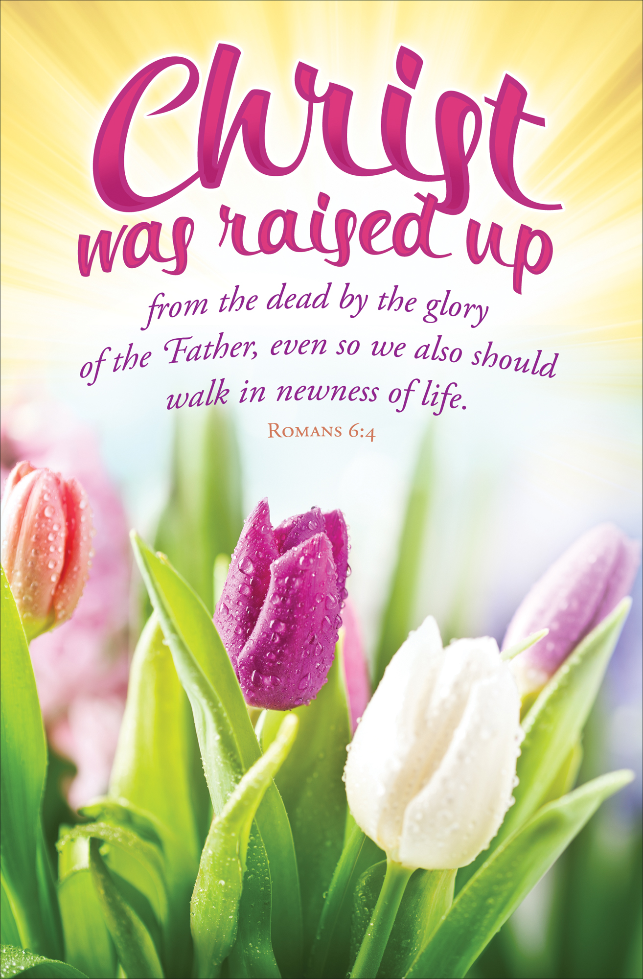 Standard Easter Bulletin Christ was Raised Up Concordia Publishing House