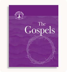 Lutheran Confessions