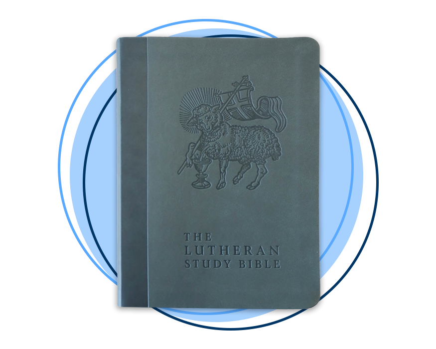 GLORIA INTERNATIONAL READ ABOUT シリーズ 11冊 Option A Sacred Scripture Student Textbook - Sophia Institute Press