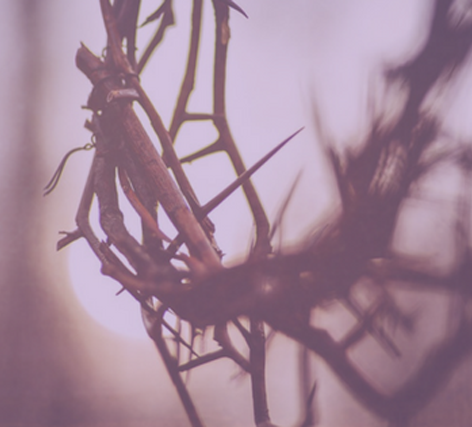 Lutheran Service Book