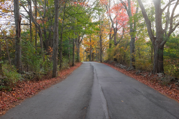 Fall: It’s happening