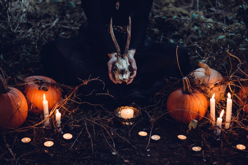 Halloween Fun Around the Internet