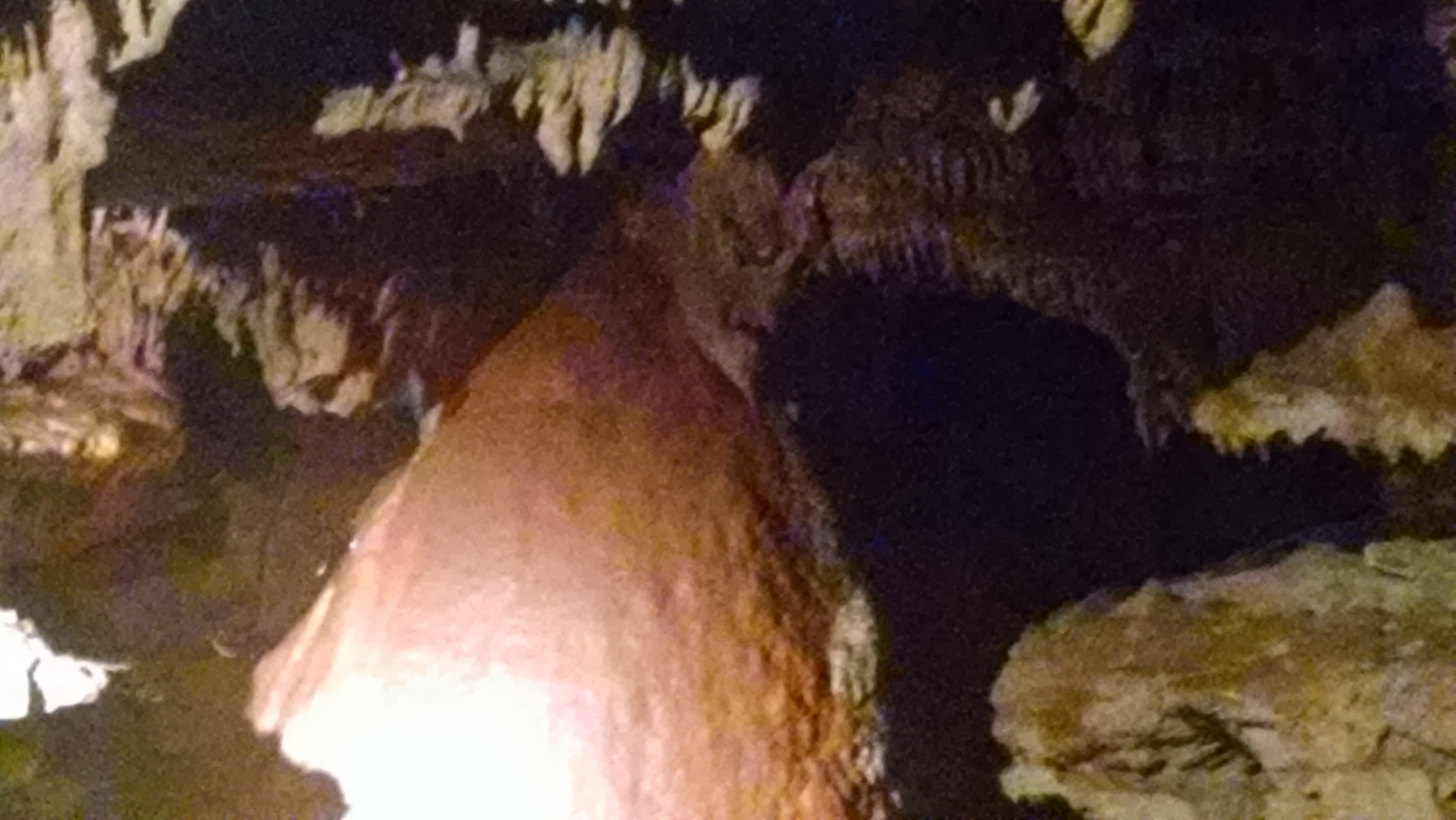 Bell Witch