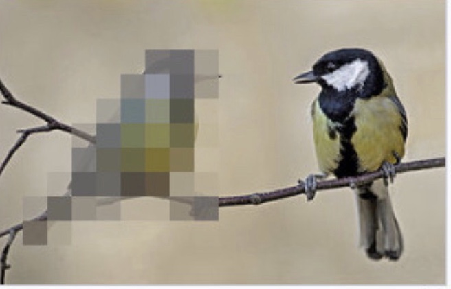 Tumblr, Censorship, SESTA/FOSTA, and other nonsense