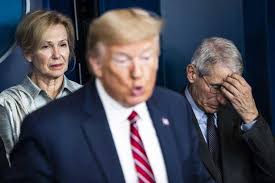 The President with Two Brains