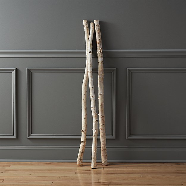 birch-branch
