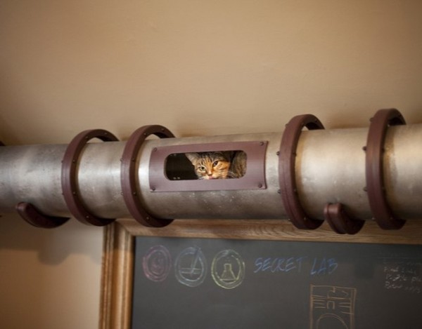 cat-tube