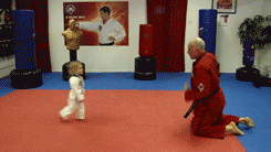 kf1