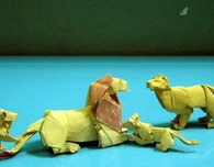Incredible Origami
