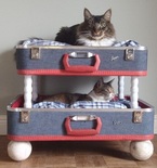 DIY Bunk Beds for Pets