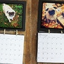 diy calendar using photos