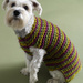Striped Dog Sweater (Free Knitting Pattern)