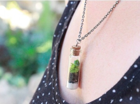 DIY Succulents: Terrarium Necklace