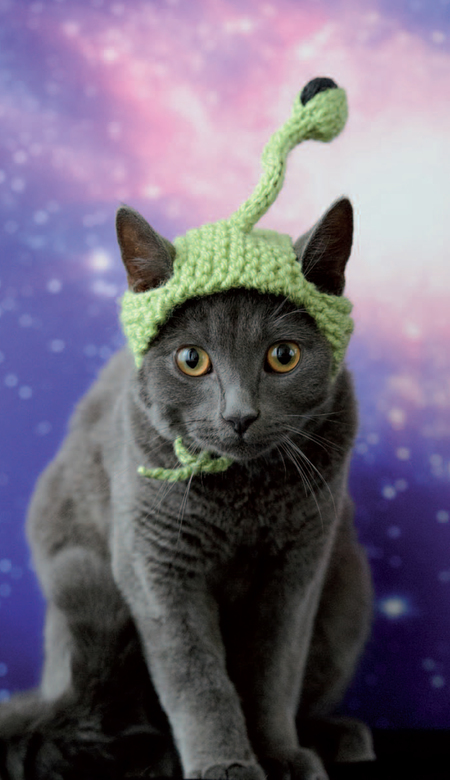 Knitted Alien Cat Hat (Free Knitting Pattern)