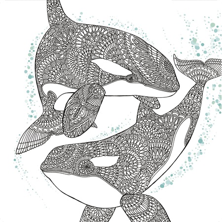 Orca Whale Free Adult Coloring Book Page