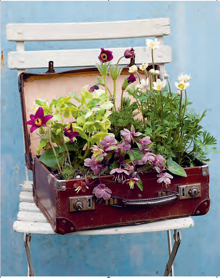 Upcycle a Vintage Suitcase into a Garden