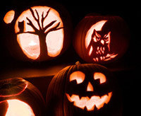 pumpkin carving ideas, owl pumpkins