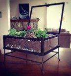 DIY Easy Succulent Terrarium (Free Tutorial)