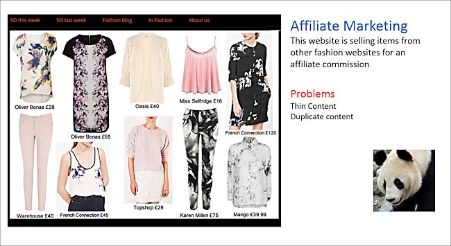 This is an example of a bad affiliate marketer's fashion review website design