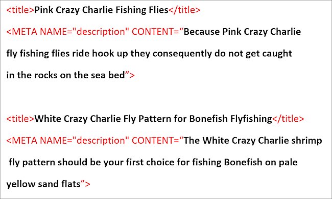 This shows two pages with different title and descrition information - seo tutorial