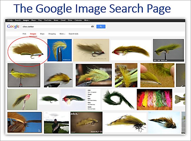 You can generate a lot of extra visitor traffic if your photo is in the first page of Google's image search result page This is what Google's image search result page looks like