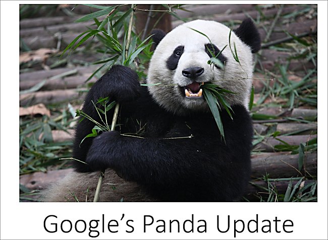 Google's Panda Update has change the rules for website optimization