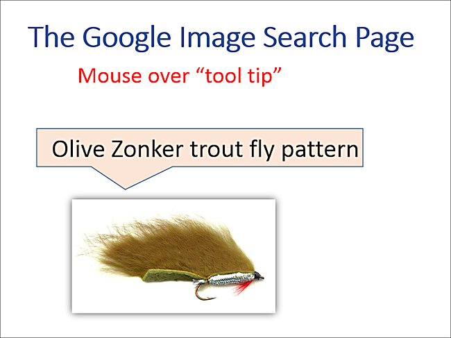 Google reads the words you use in the alt and title tags of your website images This is an illistration of the mouse over tool tip on an image