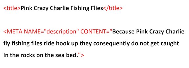 This shows the meta information on the title and the descrition elements - seo tutorial