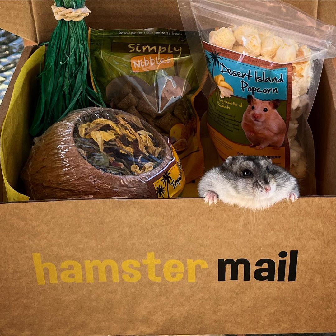 hamster box subscription
