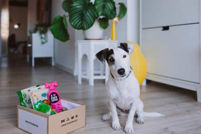 Patasbox Deutschland