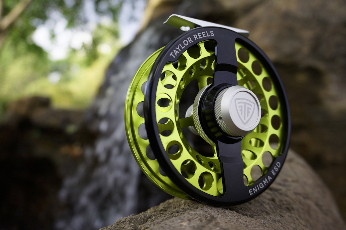 Taylor enigma esd Clearance