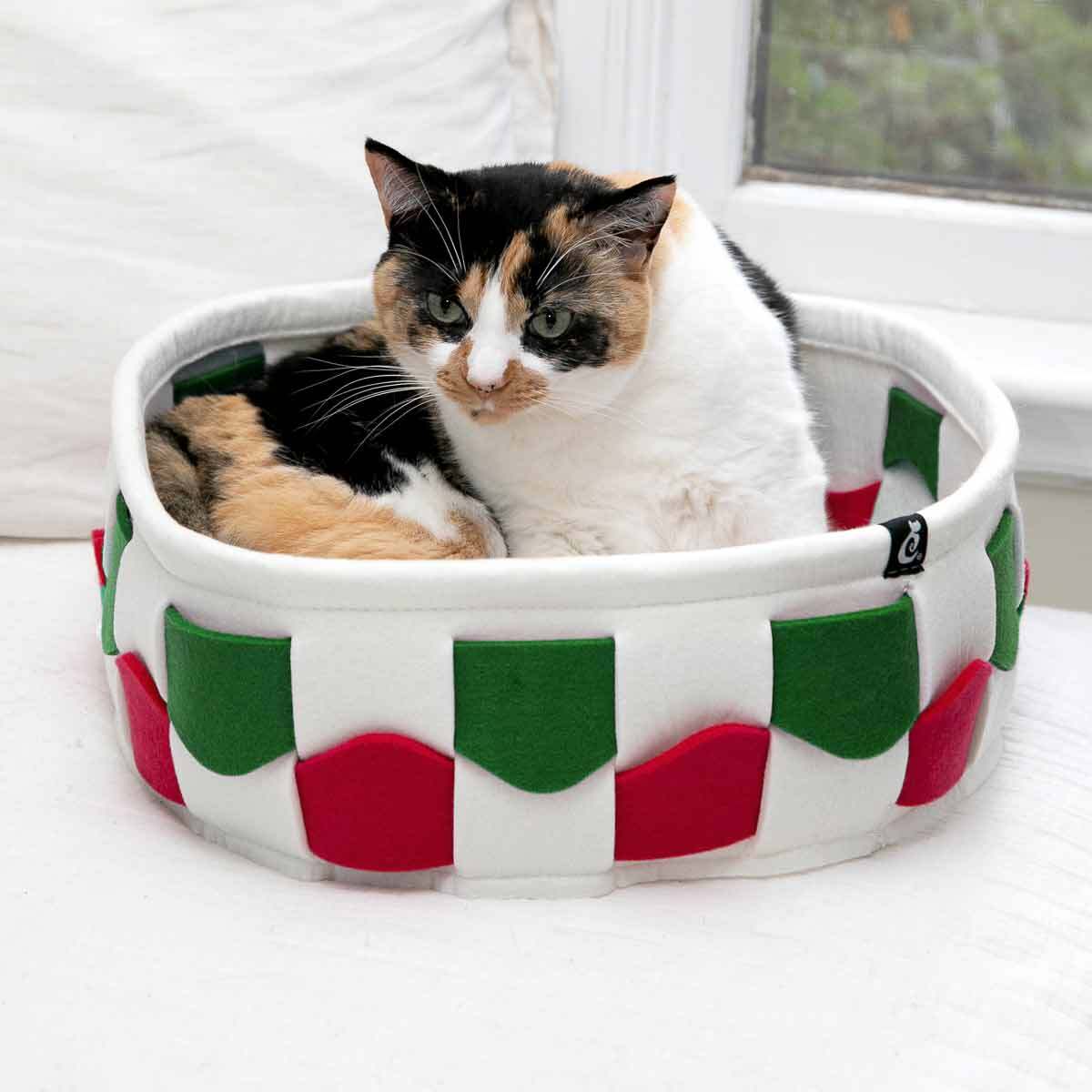 cat taco bed