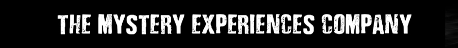 Mystery Experiences Company logo