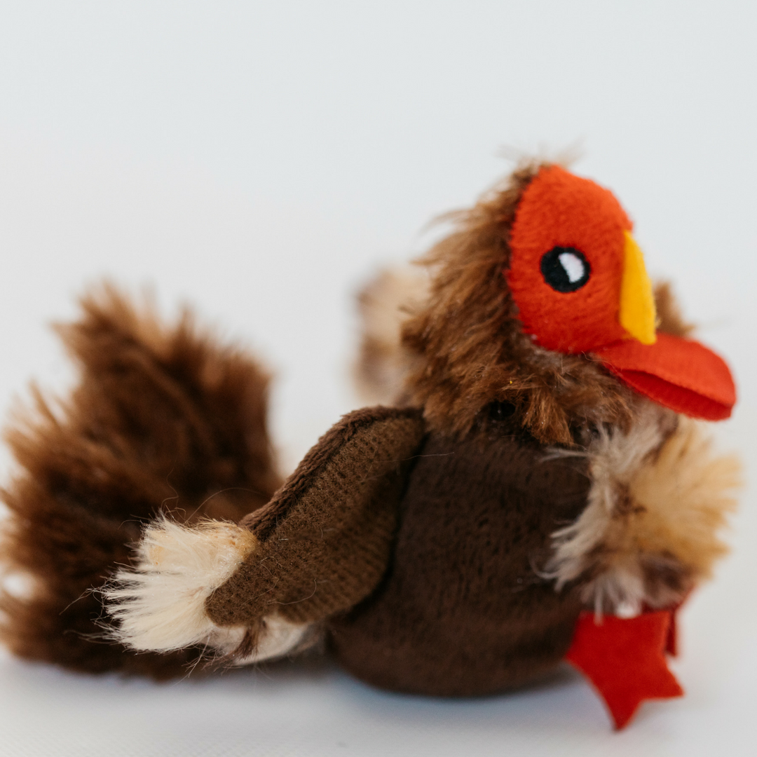 "Purrkey" Catnip Turkey Toy