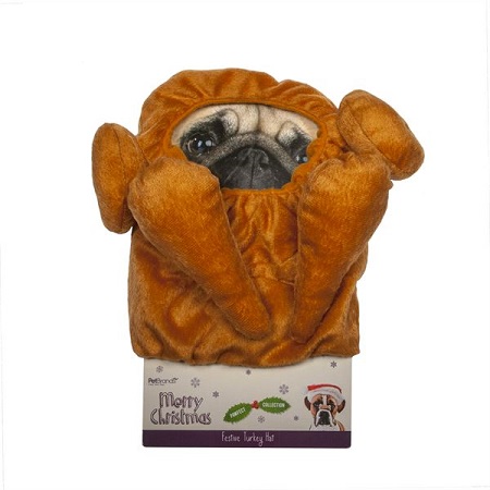 pug dressed as turkey