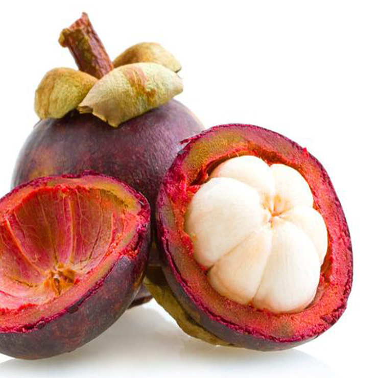 Mangosteen + Hibiscus Beauty Superfood Anima Mundi