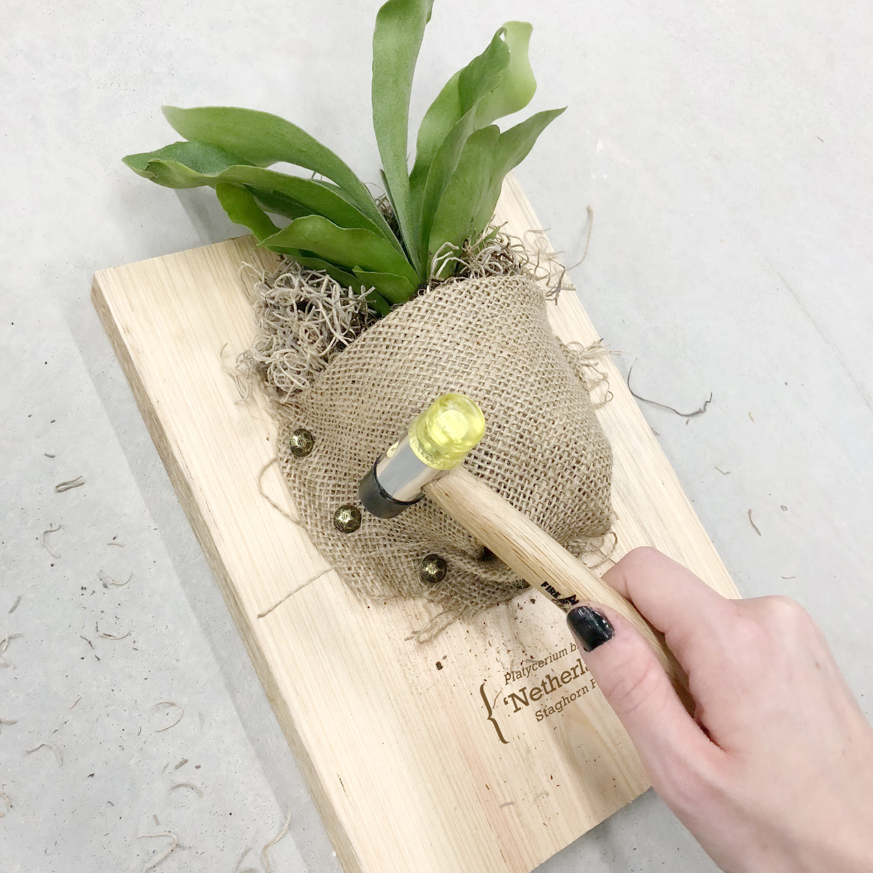 My Garden Box Shop/Product