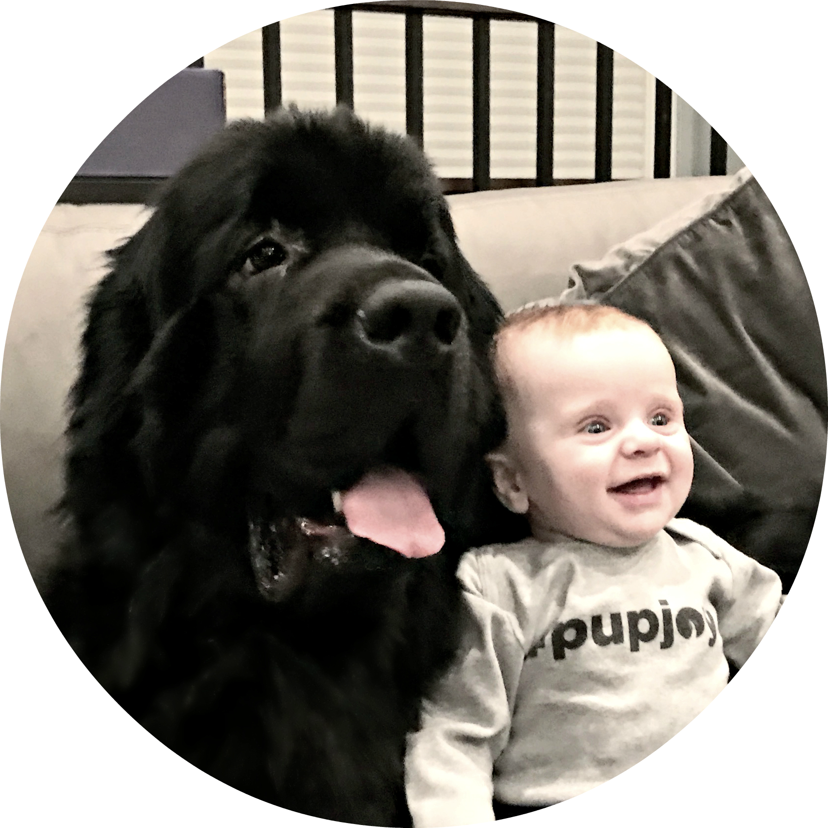 Pet Box Human Resources