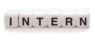 Image interns-.jpg for 5 Elements of Win-Win Internships