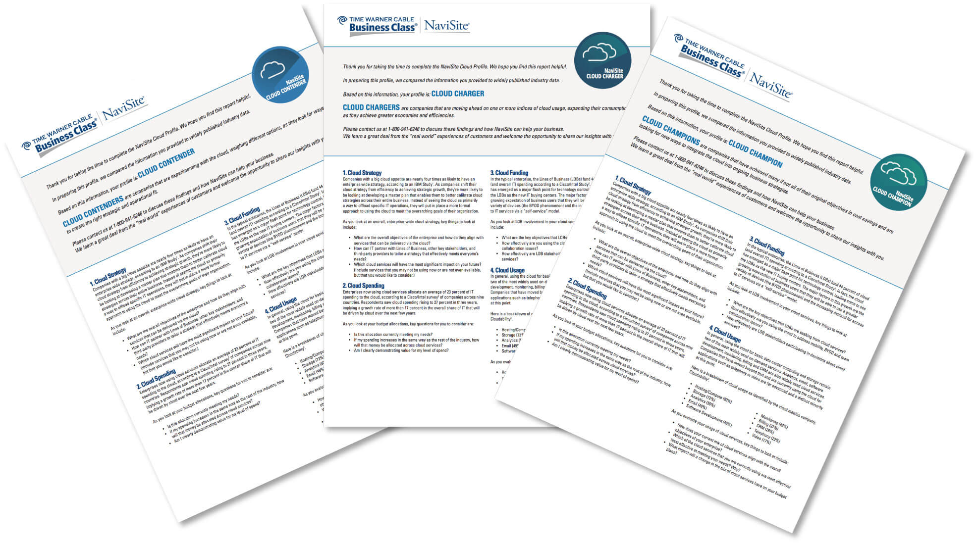 Image navisite-casestudy-3.jpg for Lead Generation… Qualifying leads helps close more business