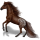 Riding Horse Mustang Black Blanket 