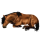 Pony Kerry Bog Dapple Gray