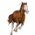 Ridehest Andalusier Sort