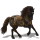 Pony Deutsches Reitpony Rappe