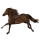 Pony Deutsches Reitpony Rotbrauner