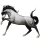 Riding Horse Thoroughbred Dapple Gray
